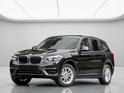 BMW X3 xDrive20d ADVANTAGE HuD AHK