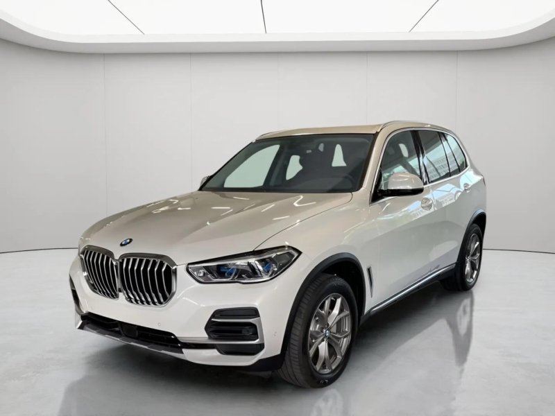 BMW X5 xDrive25d LiveCockpit Head-Up